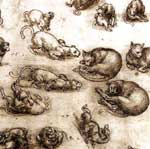 Leonardo cats detail
