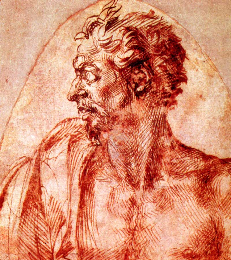 Study of a man in profile, Michelangelo