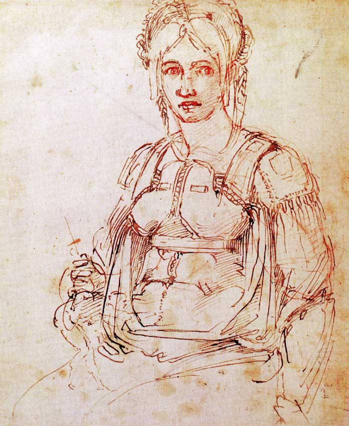 Study of a seated woman, Michelangelo.