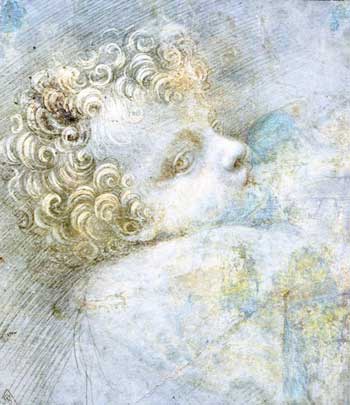 Study of a Child's Head. Giovanni Antonio Boltraffio.