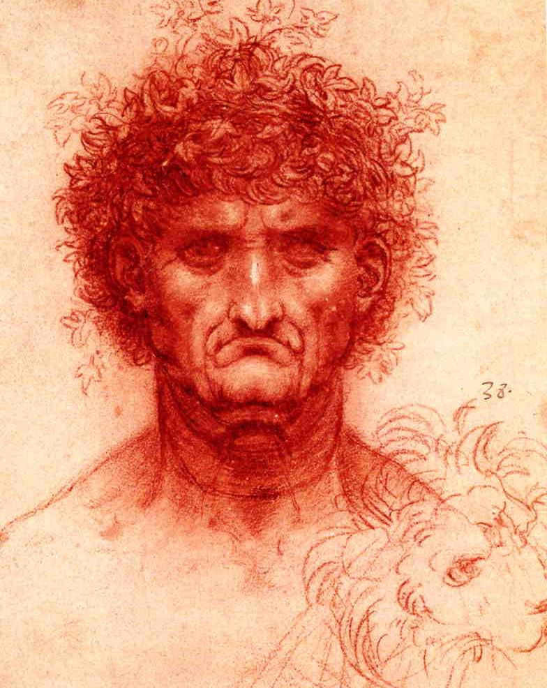 Da Vinci Drawings magnificent artwork from the renaissance master
