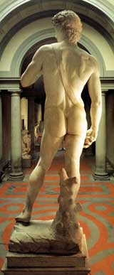vedere din spate a statuii lui David a lui Michelangelo