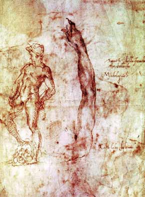 Studio per il David di Michelangelo