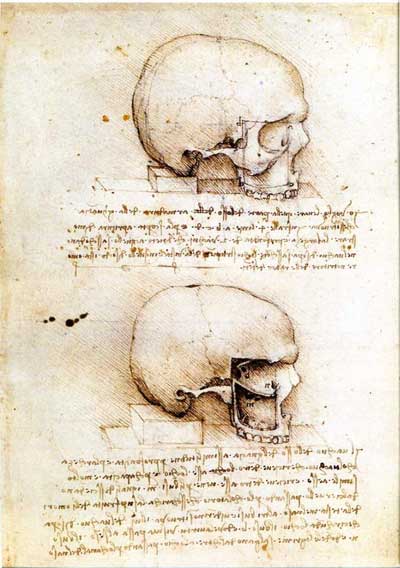 Anatomy professor uses 500-year-old da Vinci drawings to guide cadaver  dissection, NOVA